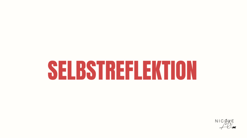selbstreflektion